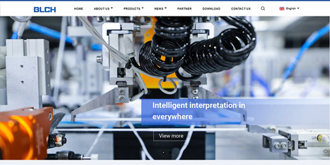 BLCH外貿網站建站